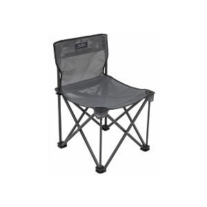 ALPS Mountaineering Adventure Chair : Target