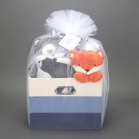 Welcome home baby 2024 boy gift baskets