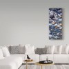 Trademark Fine Art -Jeff Tift 'River Otter' Canvas Art - 3 of 3