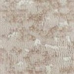 mocha ivory