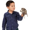 Folkmanis Puppets Hand Puppet Desert Rain Frog 3214 - 3 of 4