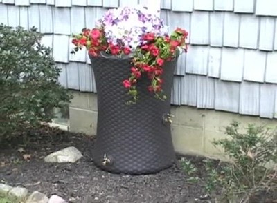 Black 50 Gallon Dual Spigot Rain Barrel with Planter Top