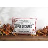 13"x18" Apple Orchard Harvest Lumbar Throw Pillow - Lush Décor: Fall Season, Embroidered, Zipper Closure - 4 of 4