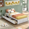 Platform Bed,Wooden Platform Bed With 3 Drawers,Platform Bed No Headboard,Twin Platform Bed With Storage,Bedroom Furniture-Cuddlewood - 3 of 4
