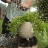 Ball Footed Splatter Planter Pot Tan Terracotta by Foreside Home & Garden - 2 of 4