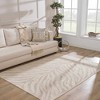 Hauteloom Beige Manteca Zebra Print Area Rug - 2 of 4