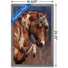 Trends International Laurie Prindle - War Pony Framed Wall Poster Prints - 3 of 4