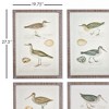 Plum & Post Coastal Birds Study Set of 4 - 2 of 3