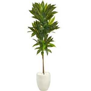 Nearly Natural 62-in Dracaena Artificial Plant in White Planter (Real Touch) - 1 of 3