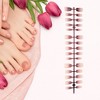 Unique Bargains Crescent Short Coffin Fake Nails 1 Pc - 4 of 4