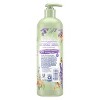 Suave Kids' Natural Coconut Oil 3-in-1 Pump Shampoo + Conditioner + Body  Wash - 16.5 Fl Oz : Target