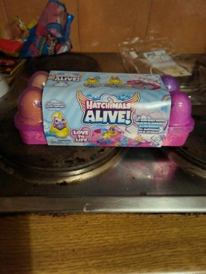 Hatchimals Alive Water Hatch Mini Figure Family Surprise Single Pack  Selected in Random For Kids 3 years up