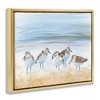 Stupell Industries Summer Sandpipers on Shore Black Floater Framed Canvas Wall Art - 3 of 4