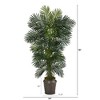 Nearly Natural 6.5-ft Golden Cane Artificial Palm Tree in Metal Planter - 2 of 3