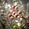 27.5"H Sullivans Pine And Berry Spray, Multicolored - 2 of 2