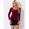 Allegra K Women's Velvet Contrast Lace V Neck Long Sleeve Elegant Top - 4 of 4