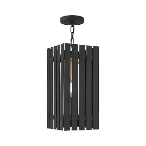Livex Lighting Greenwich 1 - Light Pendant in  Black/Satin Brass - 1 of 4