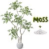 5FT/6FT/7FT Artificial Nandina Tree in Grey Ceramic Planter - Perfect for Home, Office, or Living Room Decor - 2 of 4