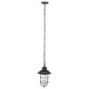 Adelle 9" Outdoor Pendant - PLT7013 - Black - Safavieh - 2 of 4