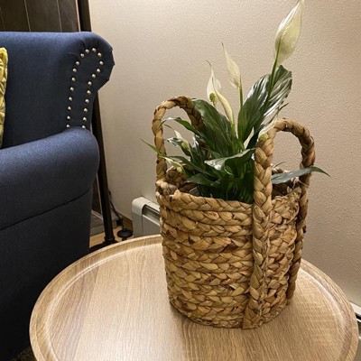 Set Of 3 Seagrass Wicker Basket Planters With Handles Natural - Olivia ...