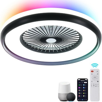HUMHOLD 24 Inch Smart Ceiling Fan with Lights and Remote/APP Control