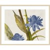 Amanti Art Blue Ginger by Jacob Q Wood Framed Wall Art Print - 4 of 4