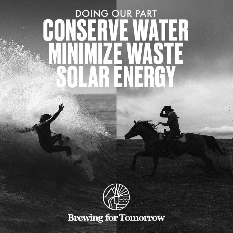 Firestone Walker 805 Cerveza Blonde Ale Beer with Lime - 12pk/12 fl oz Cans, 4 of 8