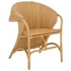 Alyona Rattan Arm Chair - ACH6700 - Natural - Safavieh - 4 of 4
