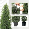 Artificial Cedar Topiary Tree, Faux Cedar Trees, Potted Fake Cypress Plant, Artificial Plants Indoor Outdoor for Front Porch Decor, Set of 2 - 2 of 4