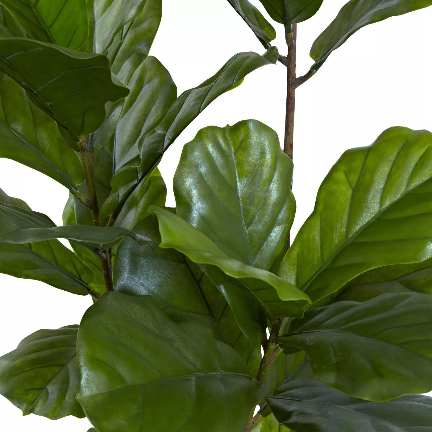 how to incorporate nature into your home decor
