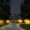 Garden Pathway Light with Integrated LED Bulb Black - Techko Maid - image 4 of 4