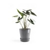 Ecopots Recycled Plastic Round Flower Pot Planter Saucer with Wheels - 2 of 4