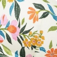 botanical studies c01 v1