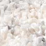 cream, black, lightbeige, lightgray