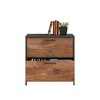 NicBex 2 Drawer File Cabinet with Metal Frame,Lateral Filing Cabinet for Letter/Legal  Storage,Compact Office Cabinet for Small Space,Home Office - 4 of 4