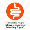 Align Probiotic Supplement Digestive Capsules - 2 of 4