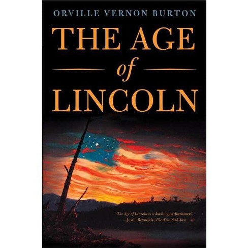 The Age Of Lincoln By Orville Vernon Burton paperback Target