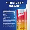 Red Bull Winter 2025 Edition Energy Drink - 8.4 fl oz Can - 2 of 4