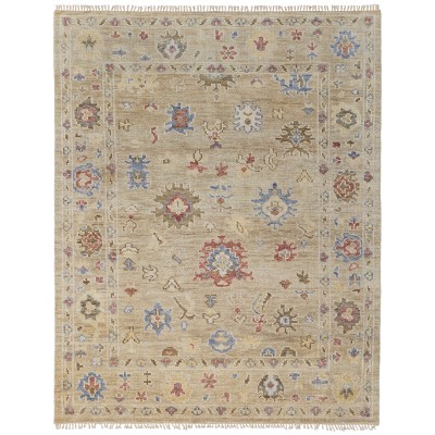 Fillmore Transitional Floral & Botanical Area Rug