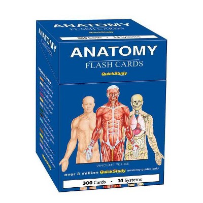 Anatomy Flash Cards - (Quickstudy (Flash Cards)) by  Vincent Perez