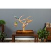 Prevue Pet Products Coffeawood Java Tree Minis Medium Table Top Playstand Perch, Natural Brown Wood 22634 - 2 of 4
