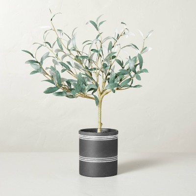 21" x 12" Faux Olive Leaf Ceramic Pot Arrangement - Hearth & Hand™ with Magnolia