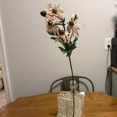 Guest review image 1 of 3, zoom in