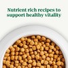 Nutro Natural Choice Small Bites Adult Chicken & Brown Rice Dry Dog Food - 30lbs - 3 of 4