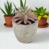 Unique Bargains Artificial Plants Plastic Pink 2.36"x2.36"x2.76" 1 Pcs - 2 of 4