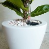 Okak Vertical ABS Planter Pots with Holes Orchid & Succulent Planters for Indoor/Outdoor, 2 Pack(S+M),4 Colors - 4 of 4