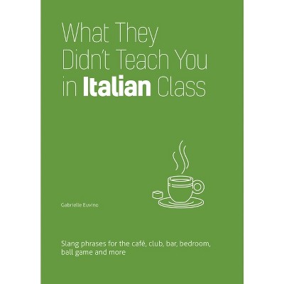 What They Didn't Teach You in Italian Class - by  Gabrielle Euvino (Paperback)