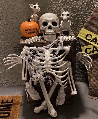 13pc Skeleton Bag Of Bones Halloween Decorative Prop - Hyde & Eek ...