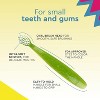 RADIUS Totz Toothbrush, For Delicate Teeth & Gums, Children 18 Months+ (Pack of 3) - 2 of 4