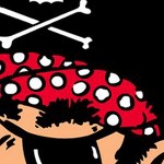 pittsburgh pirates 1958-1966